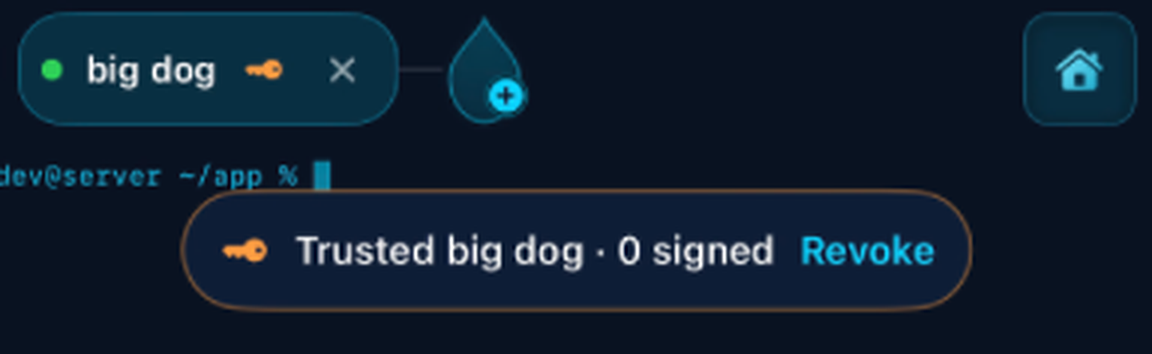 Shell Drop terminal with the agent forwarding pill just under the tabs: Trusted big dog, the number of signatures, and a Revoke button